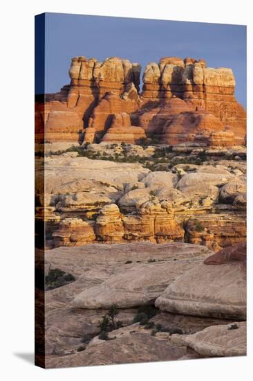 Needles District, Canyonlands National Park, Utah, Usa-Rainer Mirau-Stretched Canvas