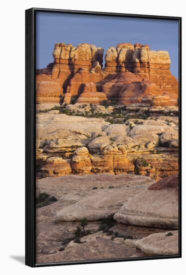 Needles District, Canyonlands National Park, Utah, Usa-Rainer Mirau-Framed Photographic Print