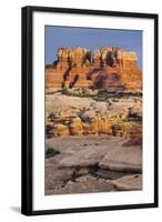 Needles District, Canyonlands National Park, Utah, Usa-Rainer Mirau-Framed Photographic Print