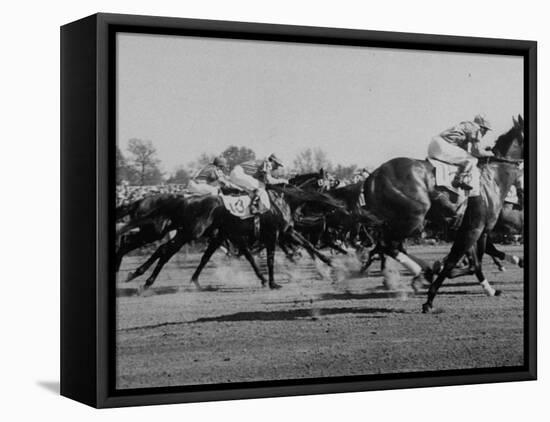 Needles in Kentucky Derby, Winner of the 82nd Running of the Most Famous of US Horse Races-Hank Walker-Framed Stretched Canvas