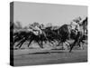 Needles in Kentucky Derby, Winner of the 82nd Running of the Most Famous of US Horse Races-Hank Walker-Stretched Canvas