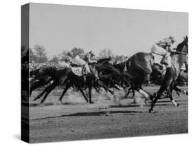 Needles in Kentucky Derby, Winner of the 82nd Running of the Most Famous of US Horse Races-Hank Walker-Stretched Canvas