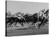 Needles in Kentucky Derby, Winner of the 82nd Running of the Most Famous of US Horse Races-Hank Walker-Stretched Canvas