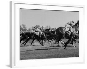 Needles in Kentucky Derby, Winner of the 82nd Running of the Most Famous of US Horse Races-Hank Walker-Framed Photographic Print