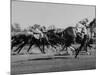 Needles in Kentucky Derby, Winner of the 82nd Running of the Most Famous of US Horse Races-Hank Walker-Mounted Photographic Print