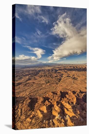 Needles Overlook, Canyonlands National Park, Utah-John Ford-Stretched Canvas