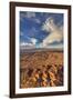 Needles Overlook, Canyonlands National Park, Utah-John Ford-Framed Photographic Print