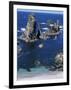 Needles, Port Coton, Belle Ile En Mer, Brittany, France-Guy Thouvenin-Framed Photographic Print