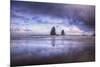 Needles Seascape, Cannon Beach, Oregon Coast-Vincent James-Mounted Photographic Print