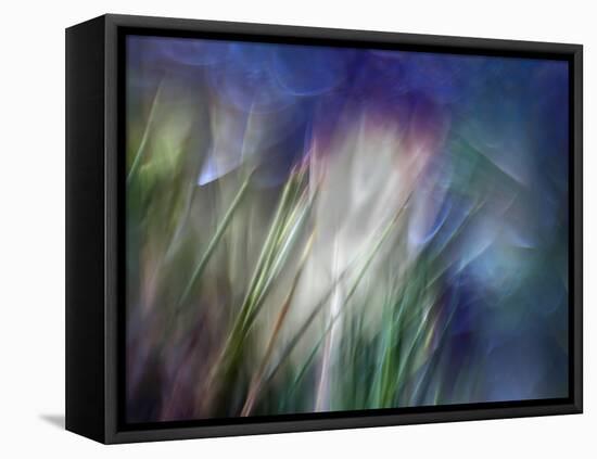 Needles-Ursula Abresch-Framed Stretched Canvas