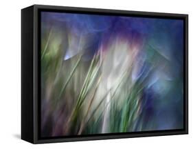 Needles-Ursula Abresch-Framed Stretched Canvas