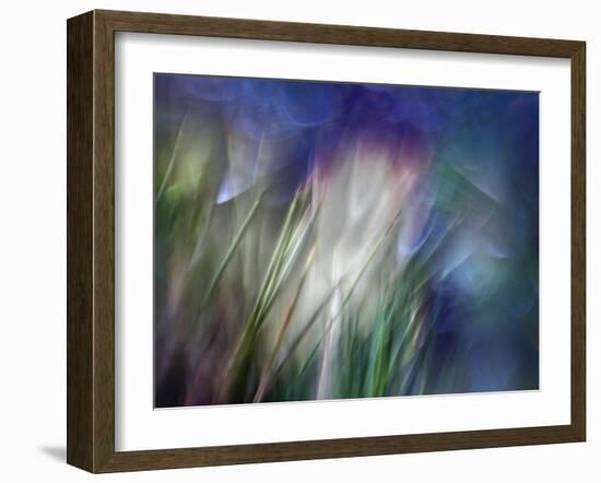 Needles-Ursula Abresch-Framed Photographic Print