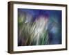 Needles-Ursula Abresch-Framed Photographic Print