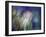 Needles-Ursula Abresch-Framed Photographic Print