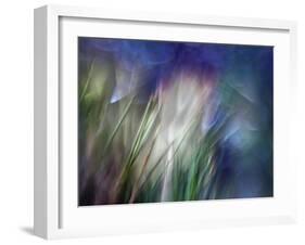 Needles-Ursula Abresch-Framed Photographic Print