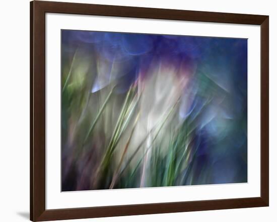 Needles-Ursula Abresch-Framed Photographic Print