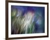 Needles-Ursula Abresch-Framed Photographic Print