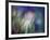 Needles-Ursula Abresch-Framed Photographic Print