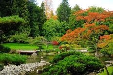 Assorted Colors of the Japanese Garden-neelsky-Premium Photographic Print