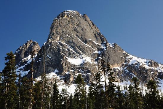 Premium Photographic Print, , large