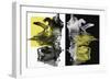 NegatIVe and PositIVe-PI Studio-Framed Art Print