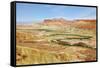 Negev Desert. Creek Meanders through the Picturesque Wilderness and Marked Bright Green Vegetation-kavram-Framed Stretched Canvas