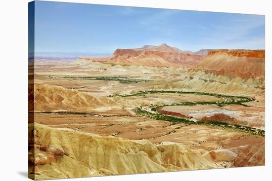 Negev Desert. Creek Meanders through the Picturesque Wilderness and Marked Bright Green Vegetation-kavram-Stretched Canvas