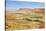 Negev Desert. Creek Meanders through the Picturesque Wilderness and Marked Bright Green Vegetation-kavram-Stretched Canvas