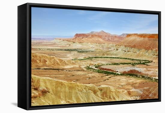 Negev Desert. Creek Meanders through the Picturesque Wilderness and Marked Bright Green Vegetation-kavram-Framed Stretched Canvas