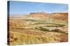 Negev Desert. Creek Meanders through the Picturesque Wilderness and Marked Bright Green Vegetation-kavram-Stretched Canvas