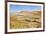 Negev Desert. Creek Meanders through the Picturesque Wilderness and Marked Bright Green Vegetation-kavram-Framed Photographic Print