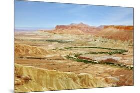 Negev Desert. Creek Meanders through the Picturesque Wilderness and Marked Bright Green Vegetation-kavram-Mounted Photographic Print