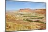 Negev Desert. Creek Meanders through the Picturesque Wilderness and Marked Bright Green Vegetation-kavram-Mounted Photographic Print