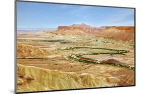 Negev Desert. Creek Meanders through the Picturesque Wilderness and Marked Bright Green Vegetation-kavram-Mounted Photographic Print