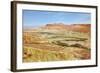 Negev Desert. Creek Meanders through the Picturesque Wilderness and Marked Bright Green Vegetation-kavram-Framed Photographic Print