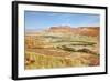 Negev Desert. Creek Meanders through the Picturesque Wilderness and Marked Bright Green Vegetation-kavram-Framed Photographic Print