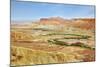 Negev Desert. Creek Meanders through the Picturesque Wilderness and Marked Bright Green Vegetation-kavram-Mounted Photographic Print