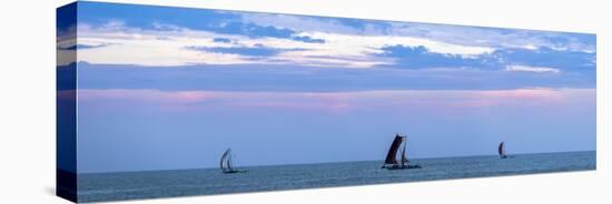 Negombo, Traditional Outrigger Fishing Boats (Oruva) Returning to Negombo Fishing Market, Sri Lanka-Matthew Williams-Ellis-Stretched Canvas