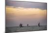 Negombo, Traditional Outrigger Fishing Boats (Oruva) Returning to Negombo Fishing Market, Sri Lanka-Matthew Williams-Ellis-Mounted Photographic Print