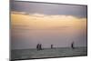 Negombo, Traditional Outrigger Fishing Boats (Oruva) Returning to Negombo Fishing Market, Sri Lanka-Matthew Williams-Ellis-Mounted Photographic Print