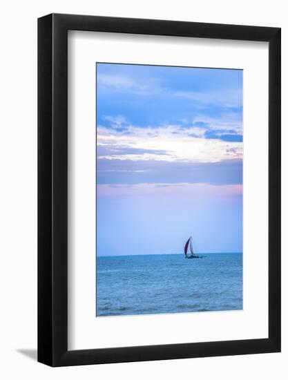 Negombo, Traditional Outrigger Fishing Boats (Oruva) Returning to Negombo Fishing Market, Sri Lanka-Matthew Williams-Ellis-Framed Photographic Print