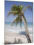 Negril, Jamaica, West Indies, Caribbean, Central America-Angelo Cavalli-Mounted Photographic Print