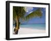 Negril, Jamaica, West Indies, Caribbean, Central America-Angelo Cavalli-Framed Photographic Print