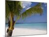 Negril, Jamaica, West Indies, Caribbean, Central America-Angelo Cavalli-Mounted Photographic Print