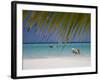 Negril, Jamaica, West Indies, Caribbean, Central America-Angelo Cavalli-Framed Photographic Print