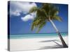 Negril, Jamaica, West Indies, Caribbean, Central America-Angelo Cavalli-Stretched Canvas