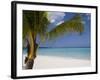 Negril, Jamaica, West Indies, Caribbean, Central America-Angelo Cavalli-Framed Photographic Print