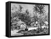Negritos, Malaysia, 19th Century-Dosso-Framed Stretched Canvas