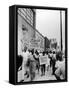 Negro Demonstration for Strong Civil Right Plank Outside Gop Convention Hall-Francis Miller-Framed Stretched Canvas