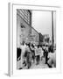 Negro Demonstration for Strong Civil Right Plank Outside Gop Convention Hall-Francis Miller-Framed Premium Photographic Print